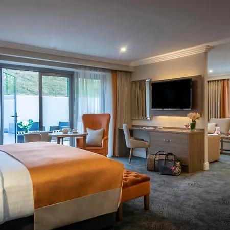 Hotel Castletroy Park