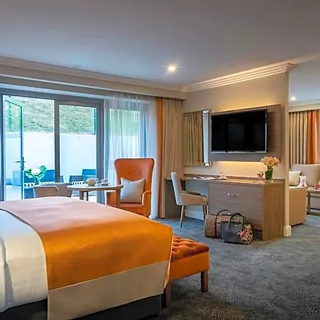Hotel Castletroy Park Limerick Junction